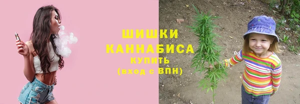 PSILOCYBIN Медногорск