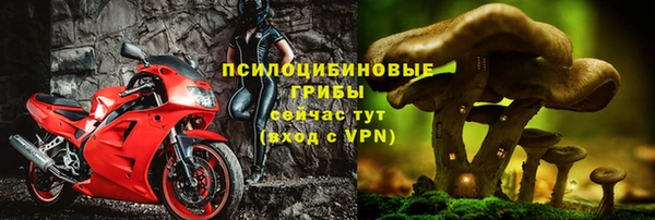 PSILOCYBIN Медногорск