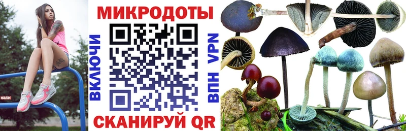 Купить где  Кировск  Псилоцибиновые грибы мухоморы 