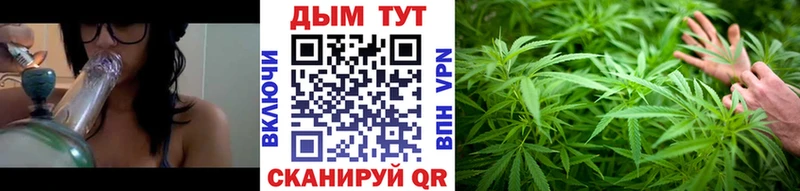 Бошки марихуана ГИДРОПОН  Купить  Кировск 